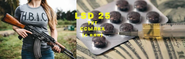 прущая мука Горняк