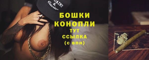 прущая мука Горняк