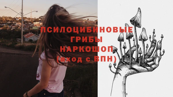прущая мука Горняк